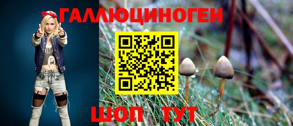 Галлюциногенные грибы Psilocybine cubensis  Вход с VPN  Псилоцибиновые грибы Magic Shrooms  Азнакаево 